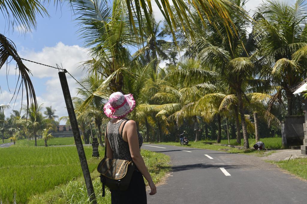Angel House Ubud Eco Villa Exterior foto